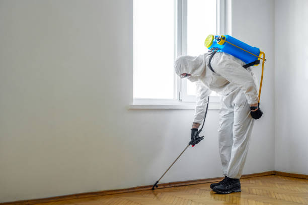 Best Bed Bug Extermination  in South Pekin, IL